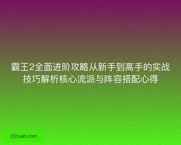霸王2全面进阶攻略从新手到高手的实战技巧解析核心流派与阵容搭配心得